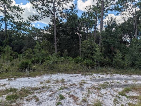 XXX WEDGEWOOD CIR, Mount Dora, FL 32757