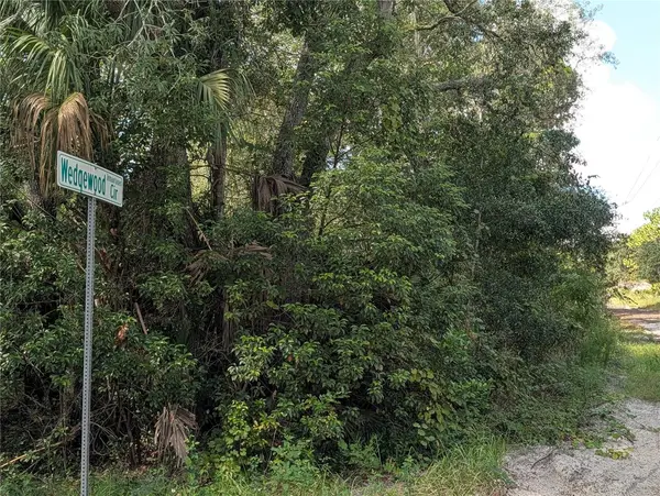 XXX WEDGEWOOD CIR, Mount Dora, FL 32757