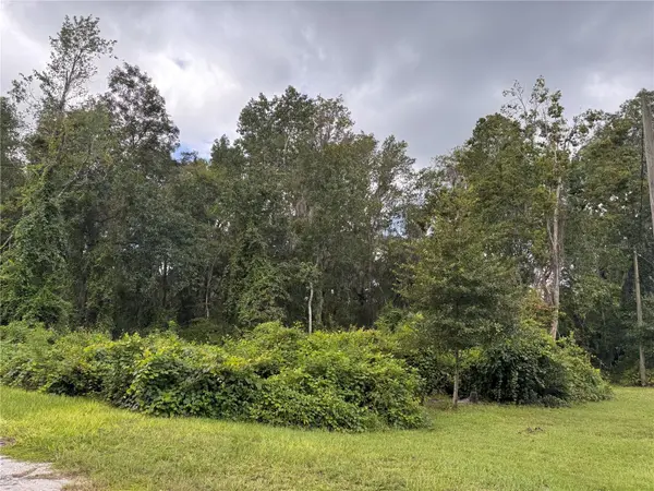 SE 4TH AVE, Melrose, FL 32666