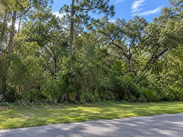 LITHIA PINECREST RD, Valrico, FL 33596