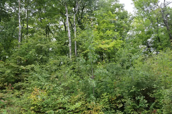 468xx Sugarbrush CIR, Garrison, MN 56450