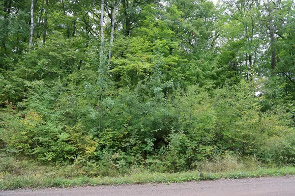 468xx Sugarbrush CIR, Garrison, MN 56450