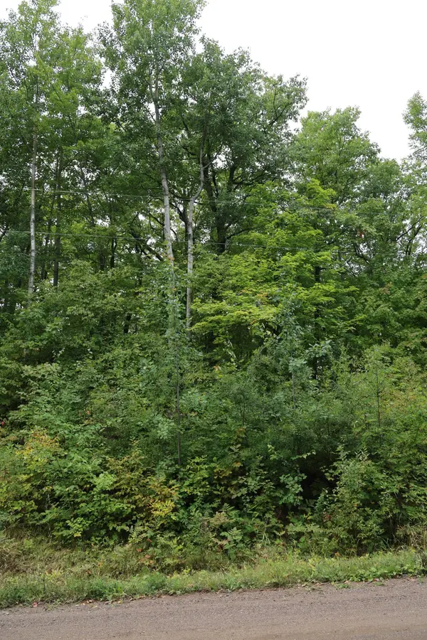 468xx Sugarbrush CIR, Garrison, MN 56450