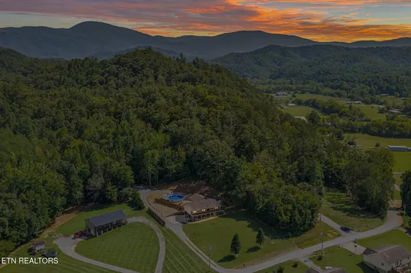 221 Pearl Meadows Way, Del Rio, TN 37727