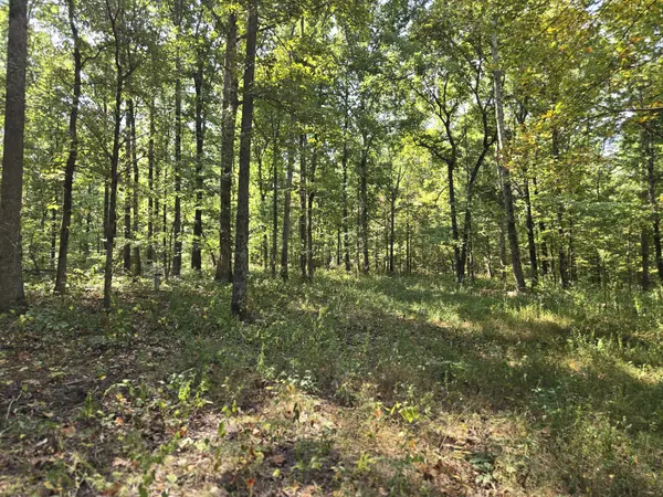 5510 Garrison Springs Ct, Franklin, TN 37064