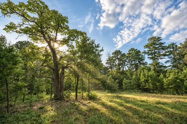 500 County Road 3805, Bullard, TX 75757