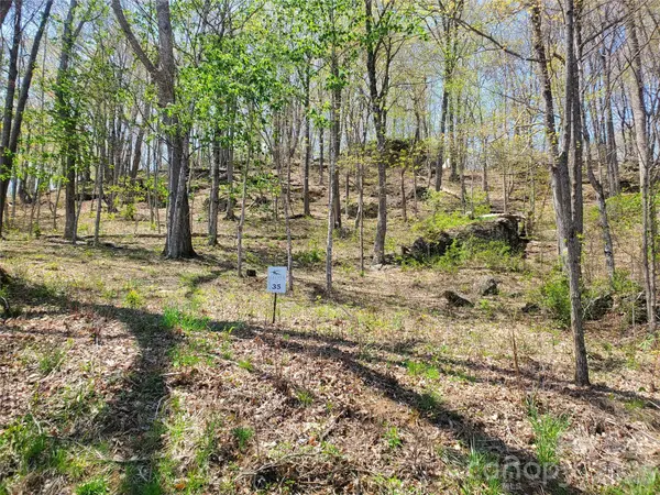 Lot 35 Soothing Waters DR #35, Todd, NC 28684