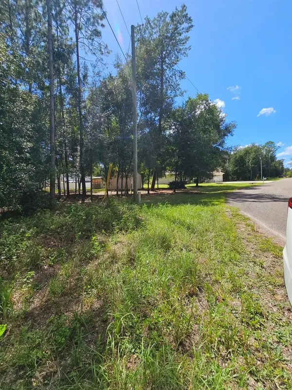 Lot 26 GUAVA PASS DR, Ocklawaha, FL 32179