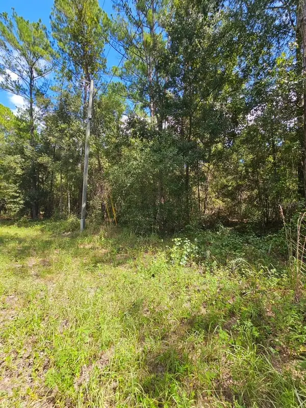 Lot 26 GUAVA PASS DR, Ocklawaha, FL 32179
