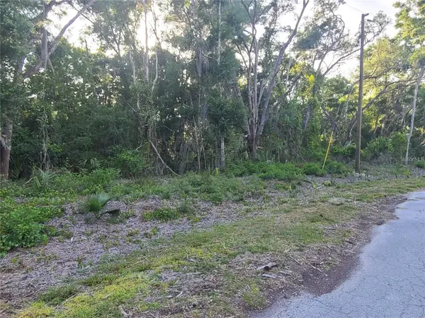 9840 N SNOWBALL PT, Crystal River, FL 34428