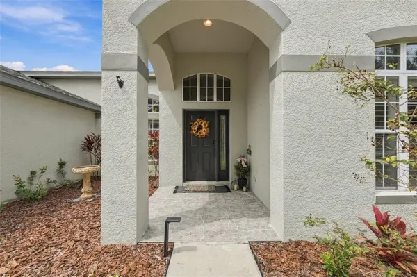 6315 BRIDGEVISTA DR, Lithia, FL 33547