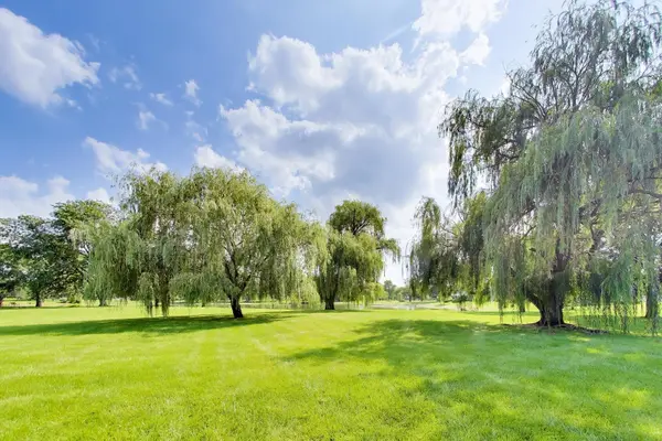 758 Moore DR #758, Elk Grove Village, IL 60007