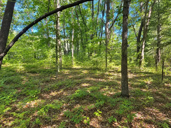 TBD 120th ST, Zimmerman, MN 55398