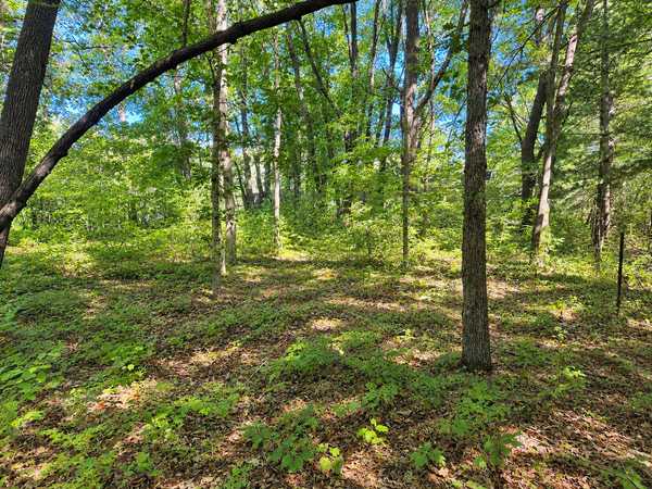 TBD 120th ST, Zimmerman, MN 55398