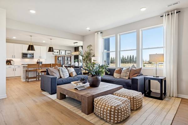 15173 Amber Fields BLVD, Rosemount, MN 55068