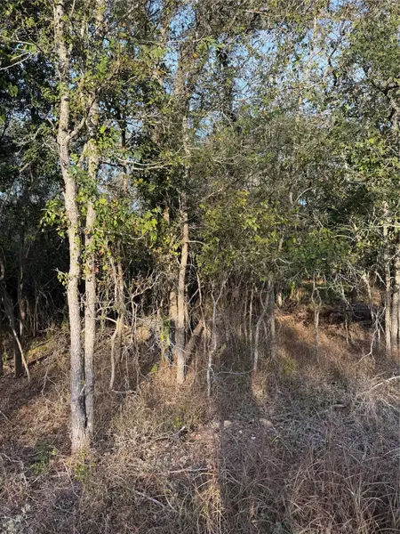 172 Helemano DR, Bastrop, TX 78602