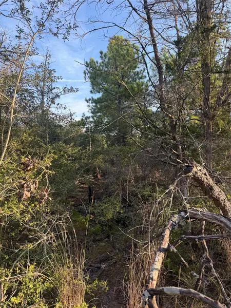 142 Helemano DR, Bastrop, TX 78602