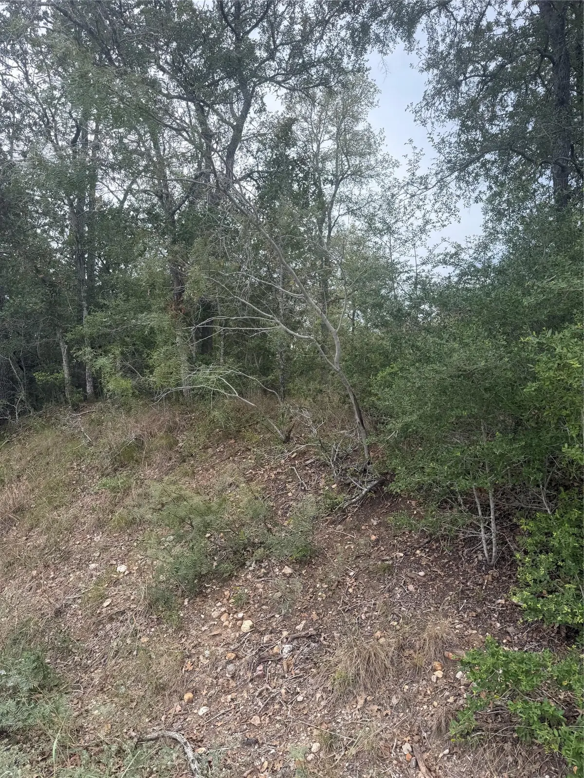 123 Mokuleia CIR, Bastrop, TX 78602