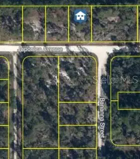 3021 JAPONICA AVE, Lake Placid, FL 33852