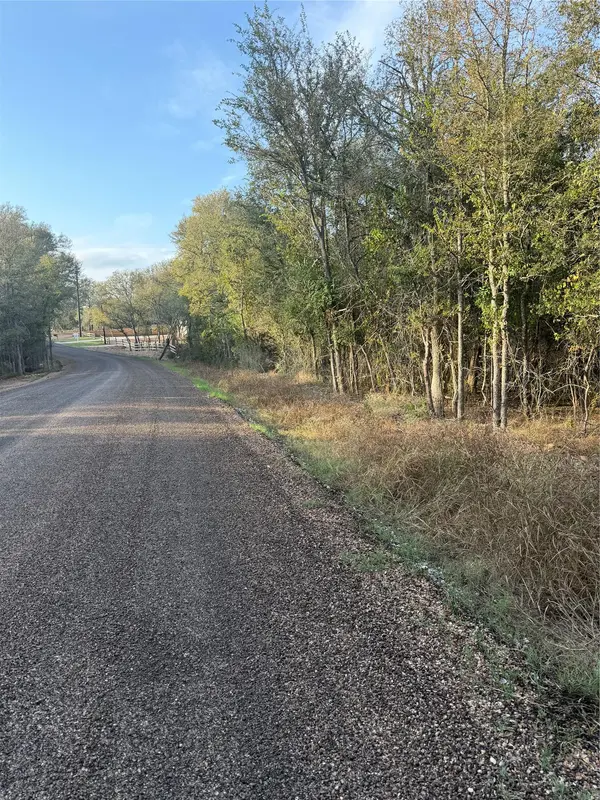 172 Helemano DR, Bastrop, TX 78602