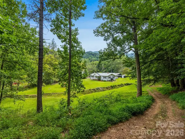 91 Rice Branch RD, Asheville, NC 28804