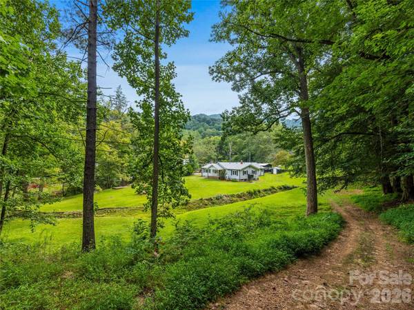 91 Rice Branch RD, Asheville, NC 28804
