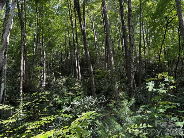 00 Burnette Reeves RD, Leicester, NC 28748