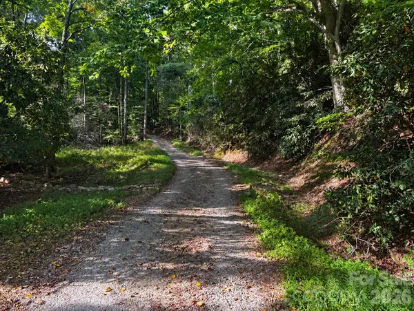 00 Burnette Reeves RD, Leicester, NC 28748