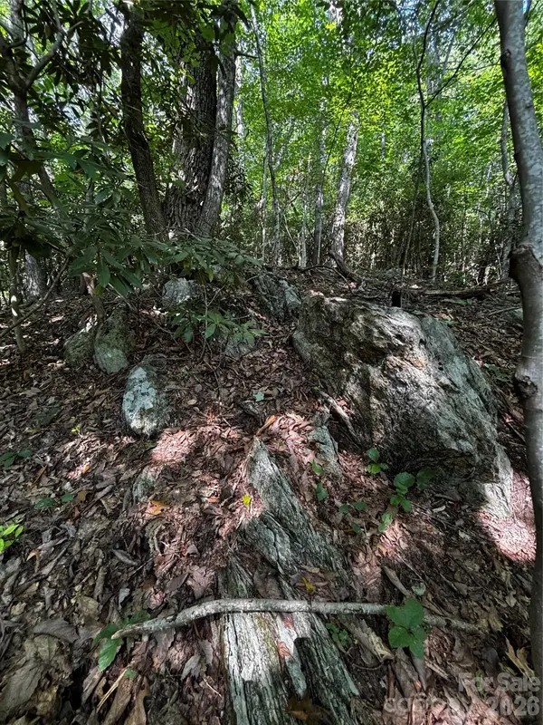 00 Burnette Reeves RD, Leicester, NC 28748