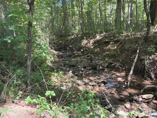 00 Camp Knob RD, Casar, NC 28020