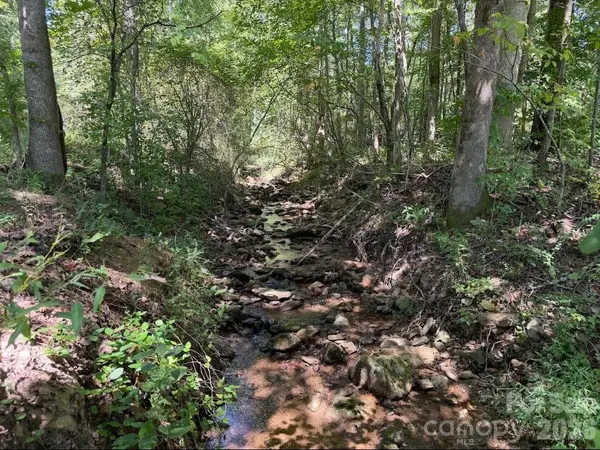 00 Camp Knob RD, Casar, NC 28020