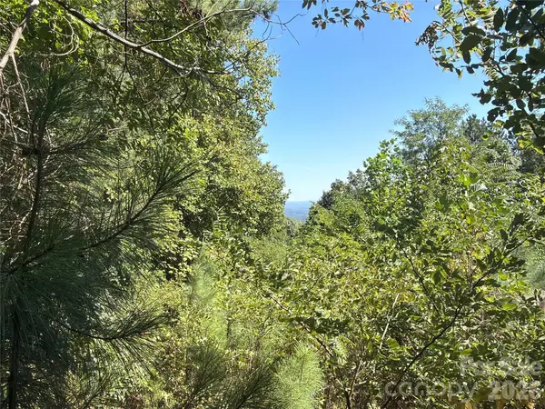 00 Camp Knob RD, Casar, NC 28020