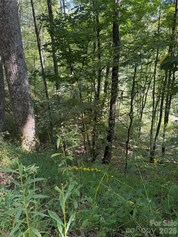 38 Gardenside LN, Mars Hill, NC 28754