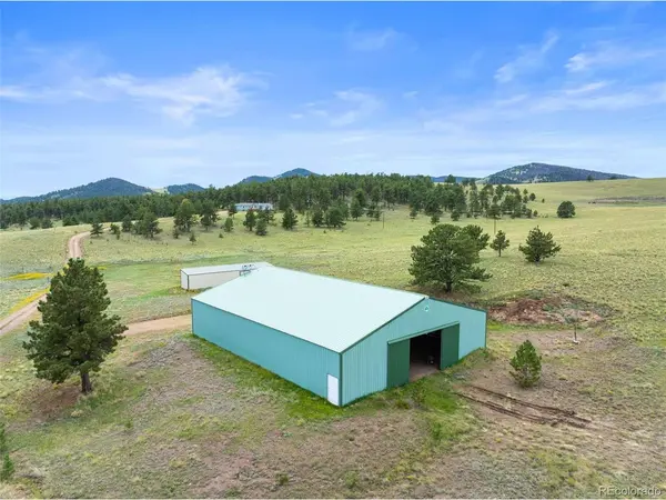 1325 County Rd 59, Guffey, CO 80820