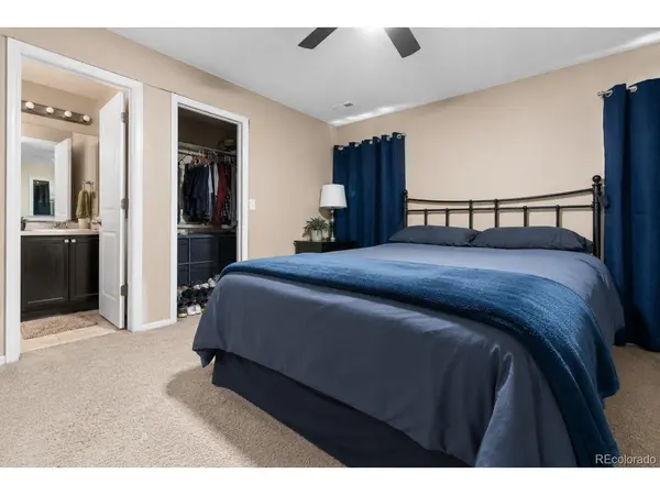 3508 Amber Sun, Castle Rock, CO 80108