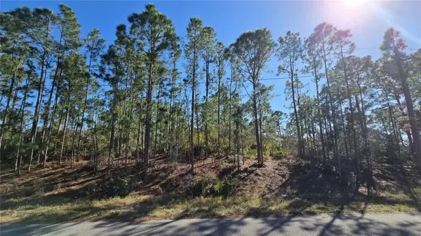 103 SENTIMENTAL CT, Lake Placid, FL 33852