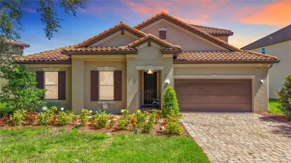 1107 ISOBEL RESERVE LN, Tampa, FL 33613