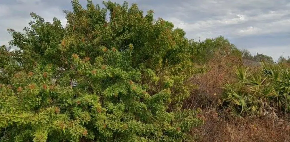 6010 ELAINE AVE N, Lehigh Acres, FL 33971
