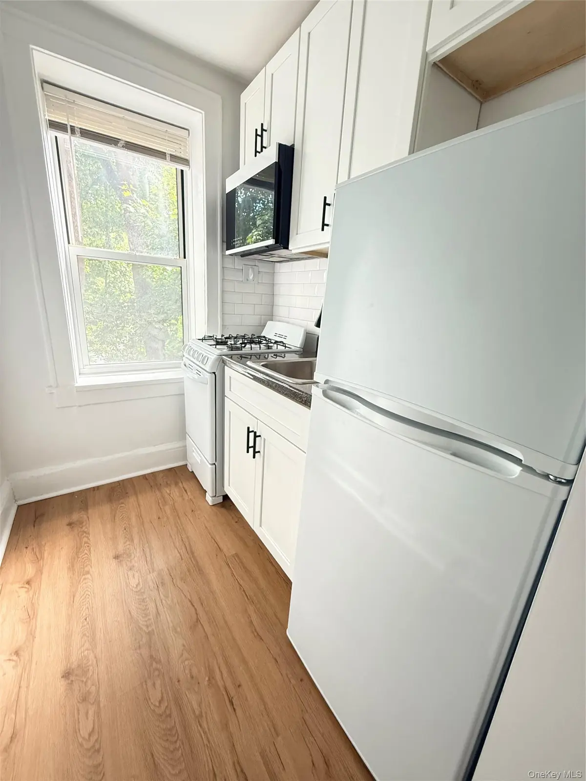 98 Harding AVE #LLB, White Plains, NY 10606