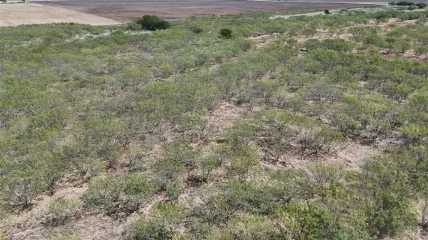 TBD County Road 3230, Abbott, TX 76621