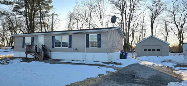 325 Mueller RD, Cochecton, NY 12726