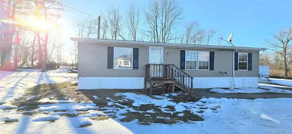 325 Mueller RD, Cochecton, NY 12726