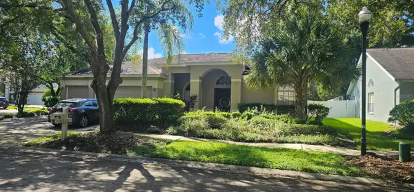 9317 HERITAGE OAK CT, Tampa, FL 33647