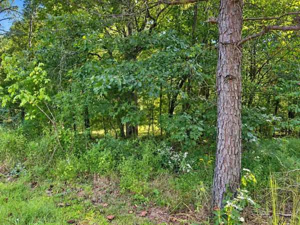 33 Karbers Ridge RD, Herod, IL 62947