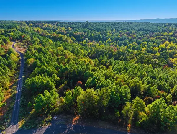 37 Beech LN, Broken Bow, OK 74728