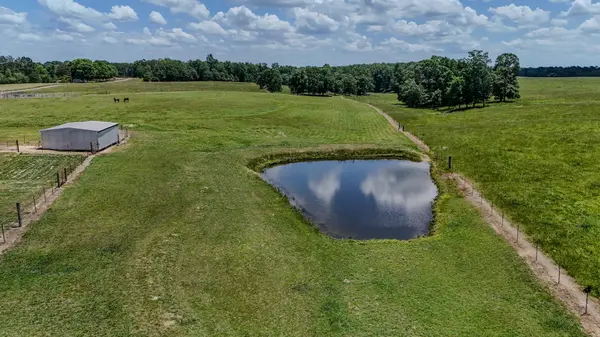 1198 David Patterson Rd, Lutts, TN 38471