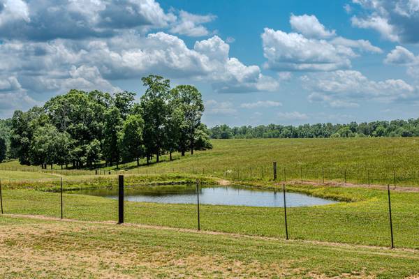 1198 David Patterson Rd, Lutts, TN 38471