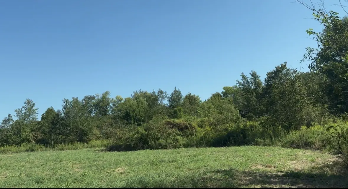 3941 Baggett Rd, Springfield, TN 37172