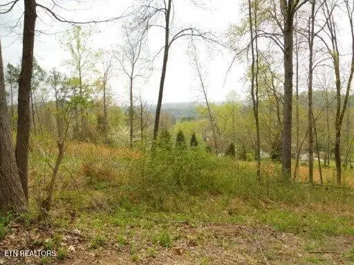 0 Vann Drive, Harriman, TN 37748
