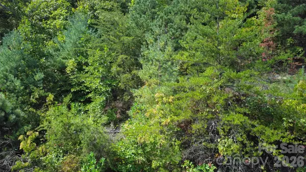 275 Kincaid PL #275, Mill Spring, NC 28756